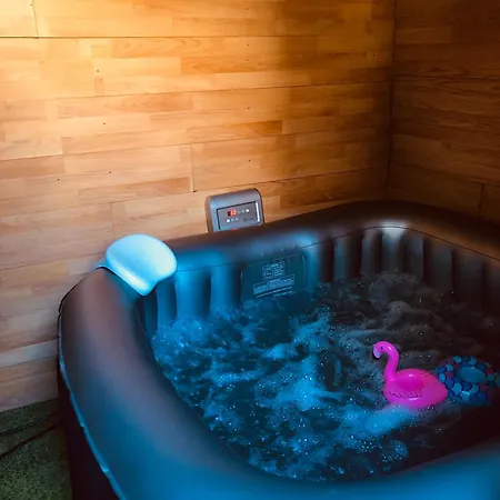 Grand T2 Climatisé Avec Jardin Et