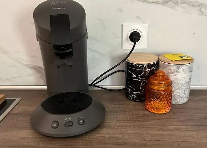 Grand T2 Climatise Avec Jardin - A Deux Pas Du Centre Historique